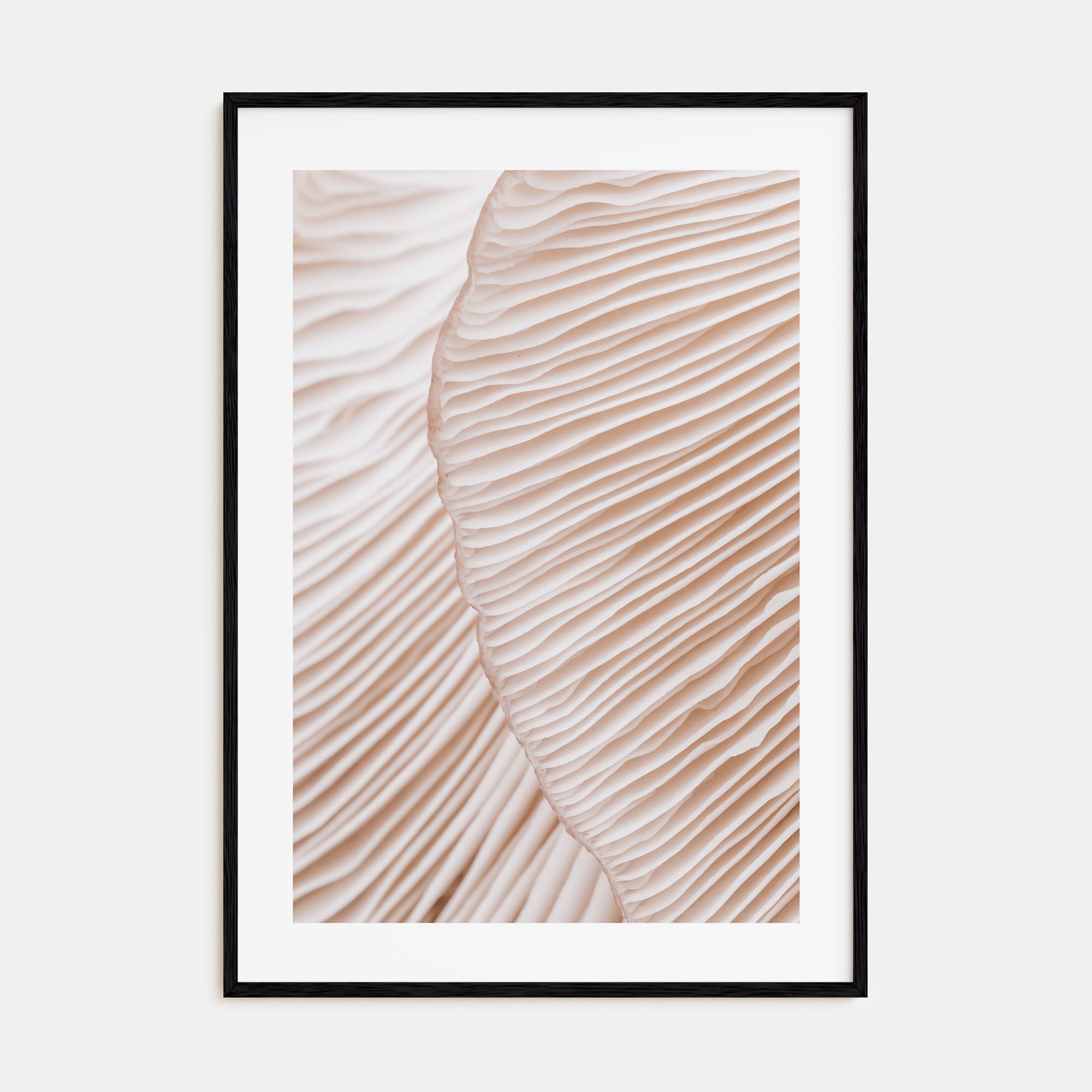 Mushroom Closeup Photo Color Poster