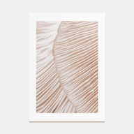 Mushroom Closeup Photo Color Poster