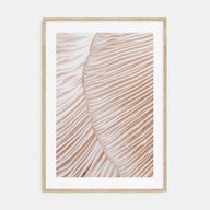 Mushroom Closeup Photo Color Poster