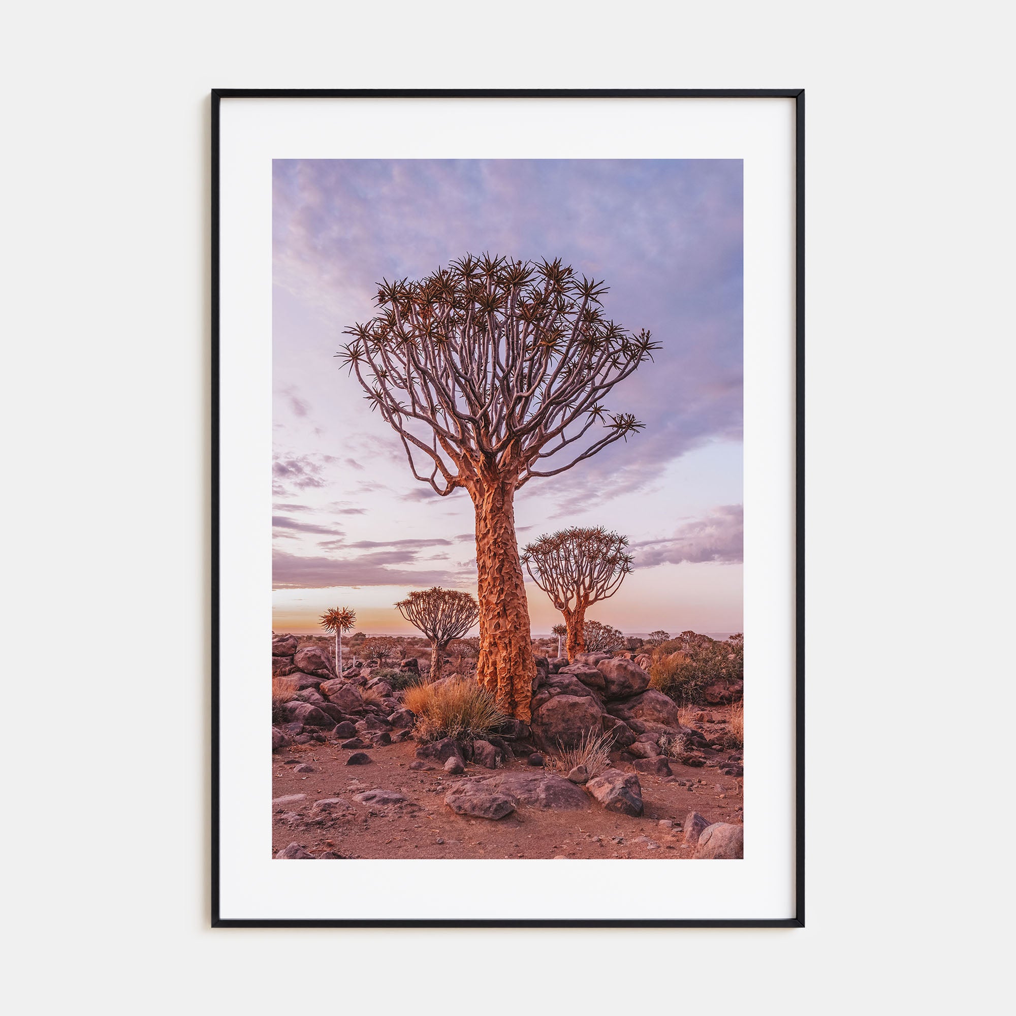 Namibia Photo Color Poster