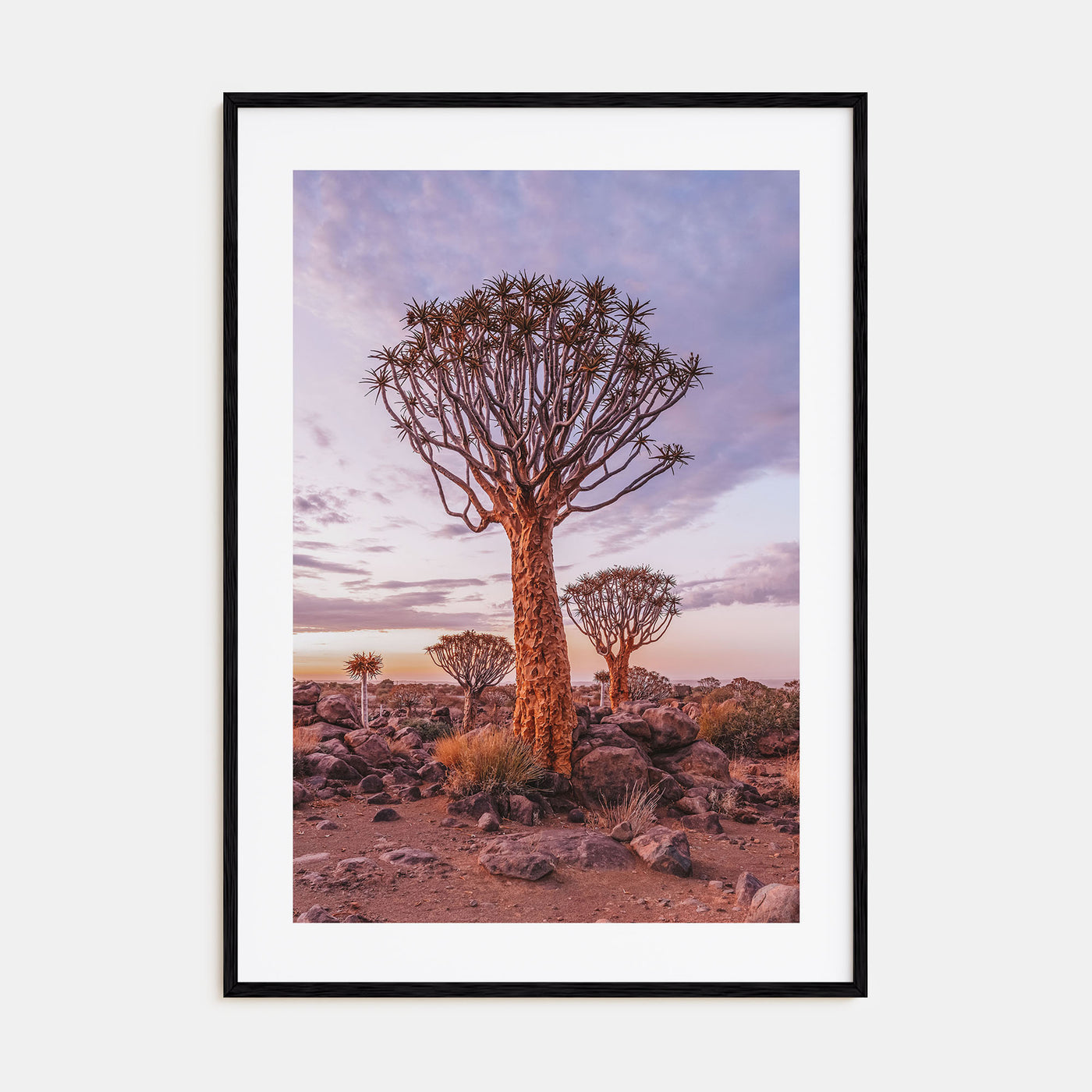 Namibia Photo Color Poster