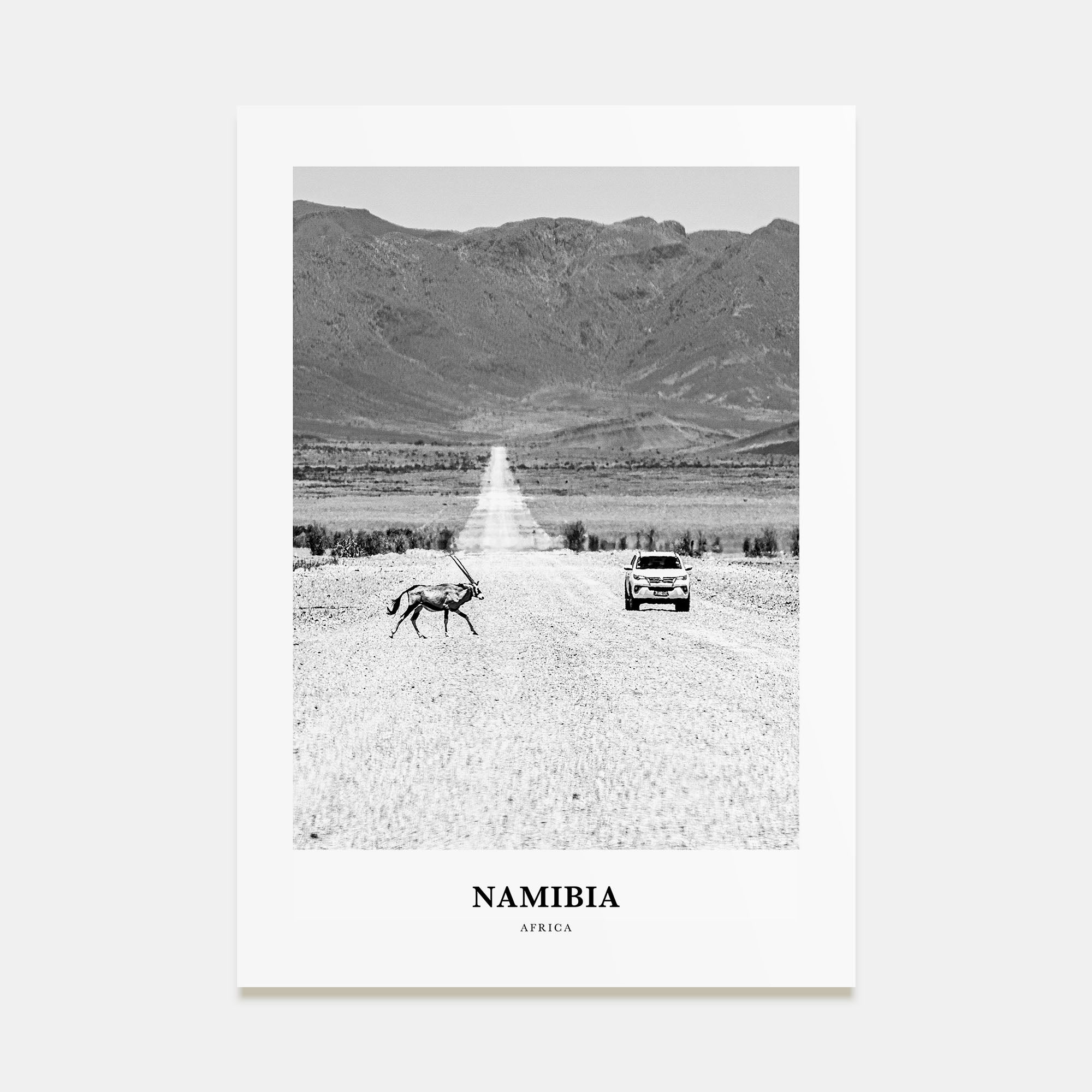 Namibia Portrait B&W Poster