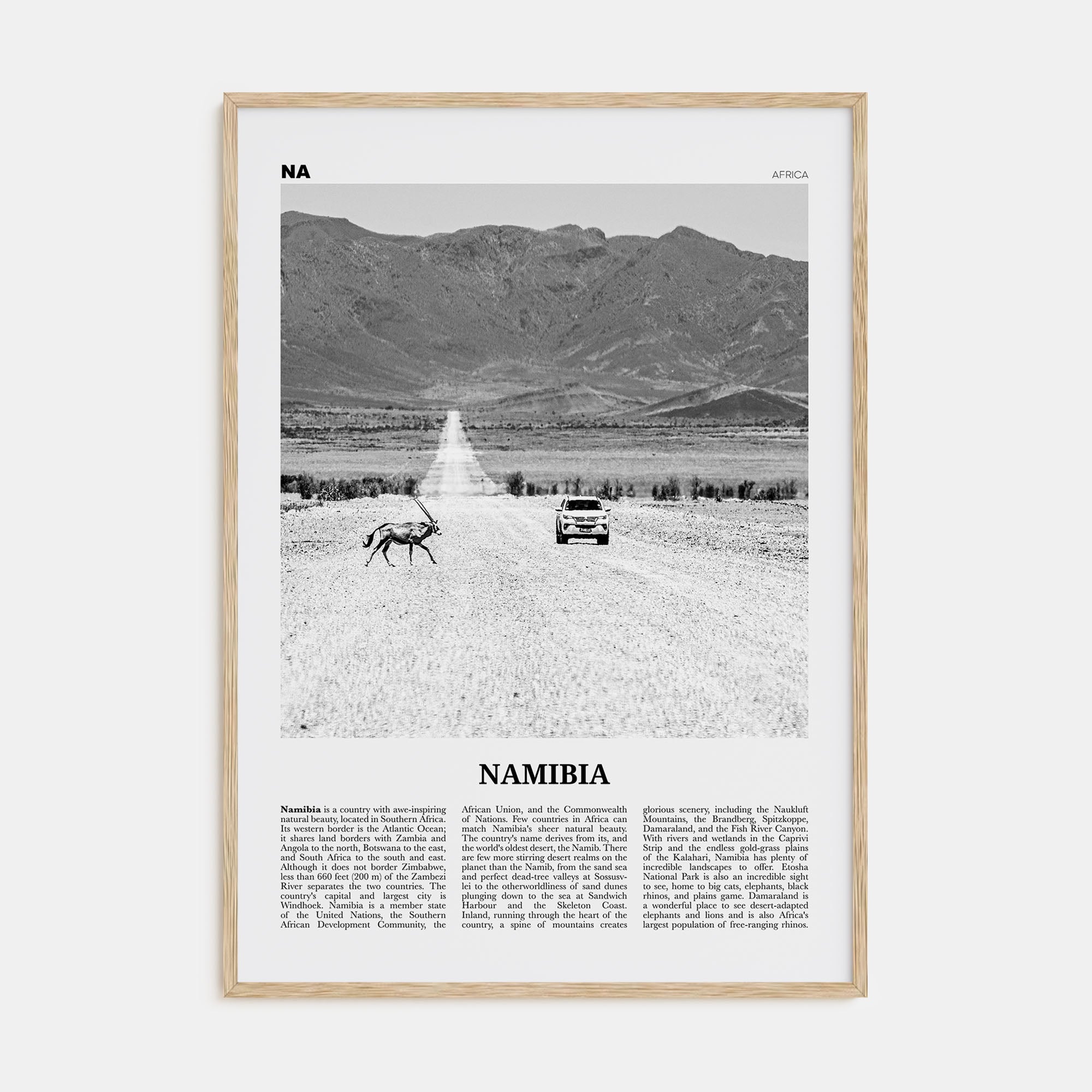 Namibia Travel B&W Poster