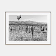 Napa Valley Landscape B&W Poster
