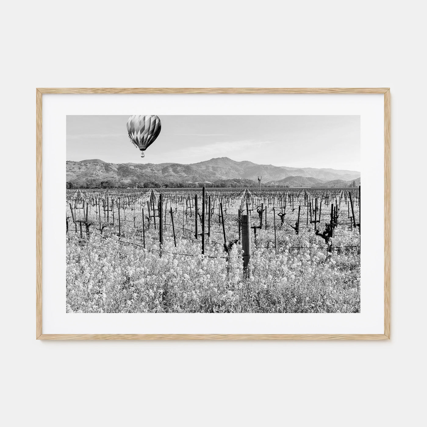 Napa Valley Landscape B&W Poster