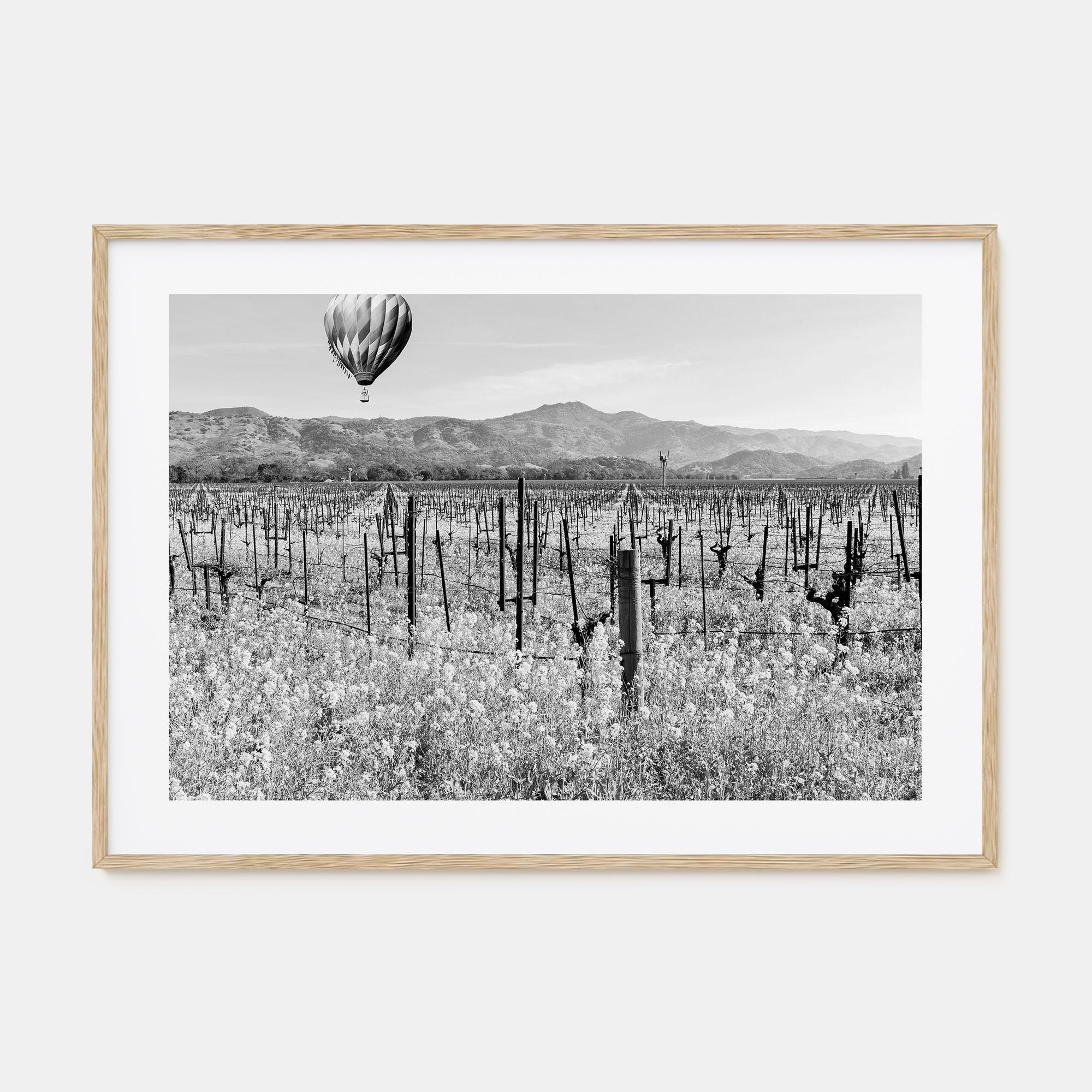 Napa Valley Landscape B&W Poster