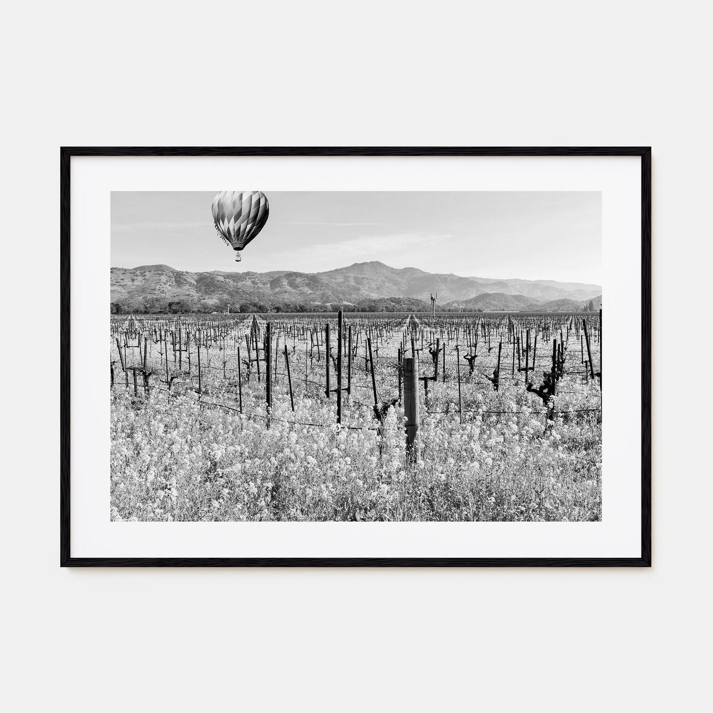 Napa Valley Landscape B&W Poster