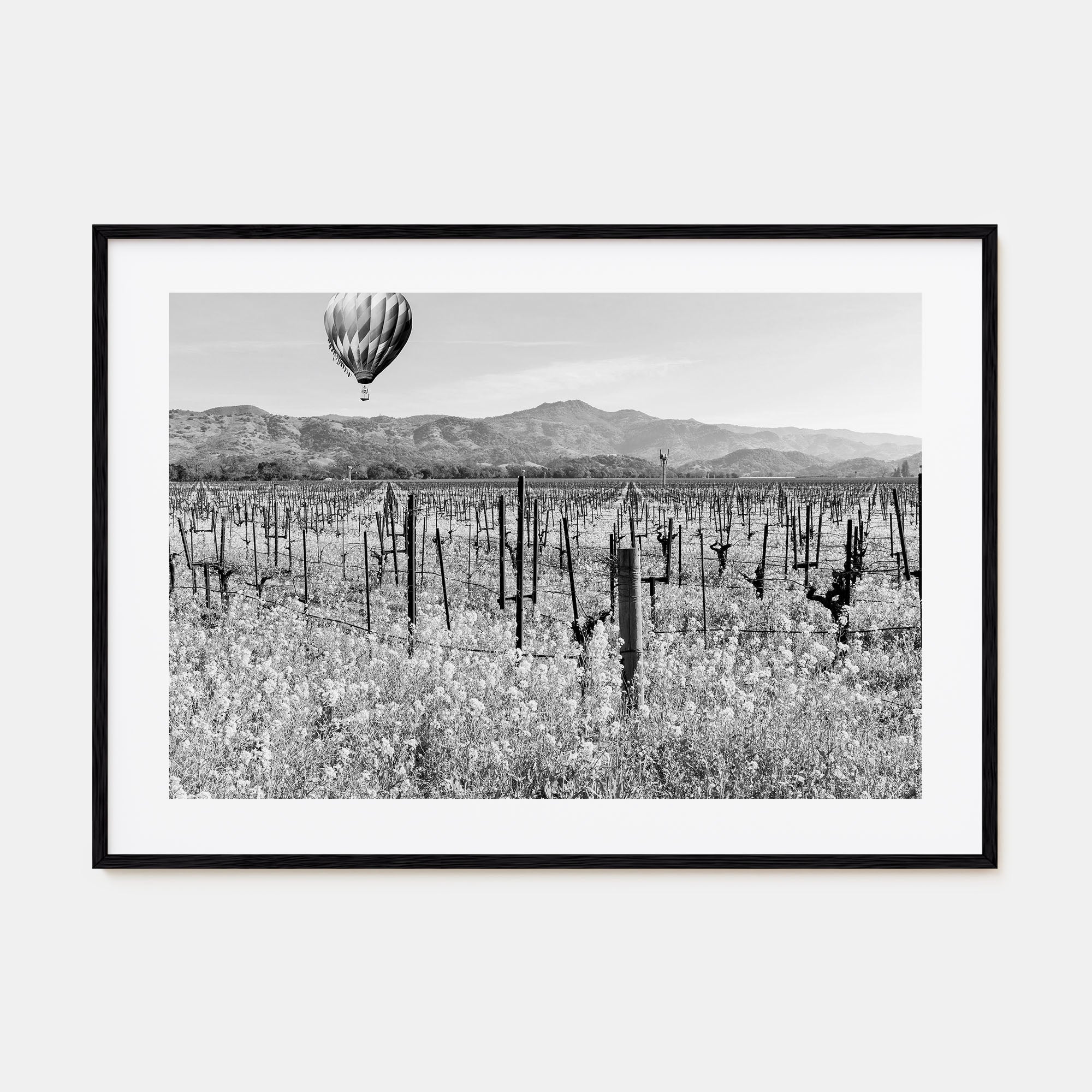 Napa Valley Landscape B&W Poster