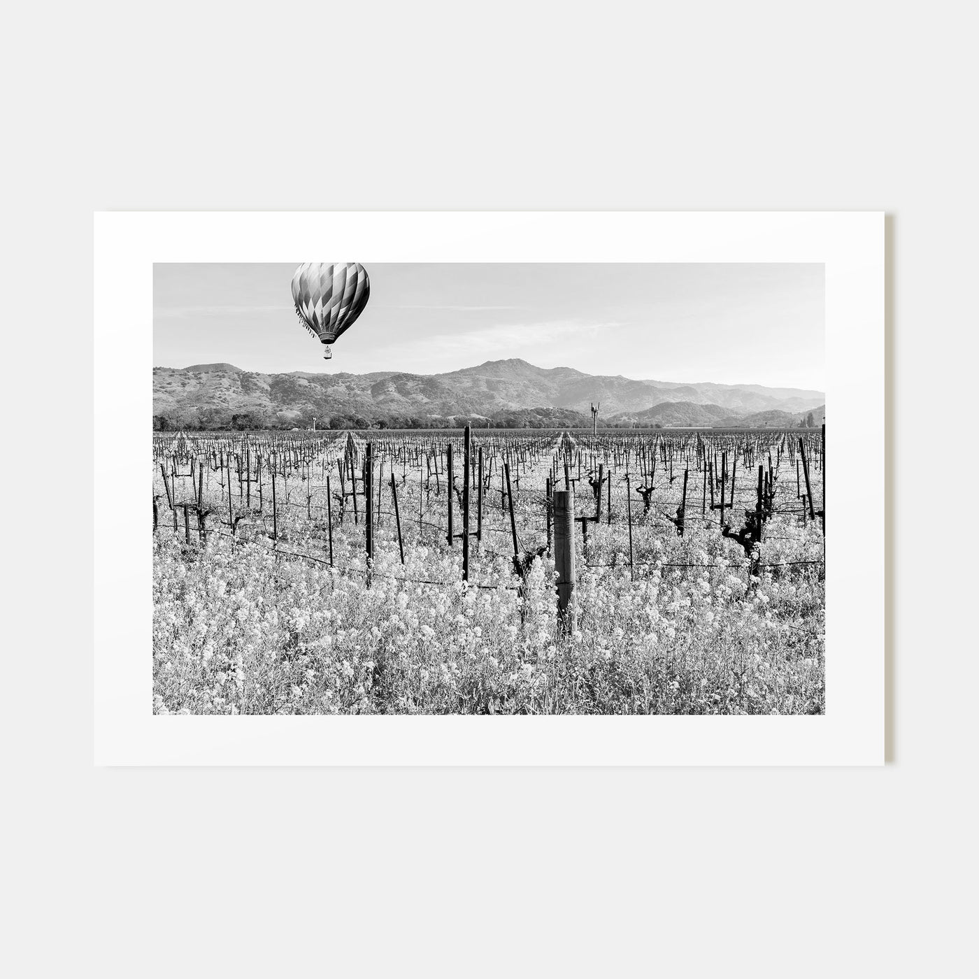 Napa Valley Landscape B&W Poster