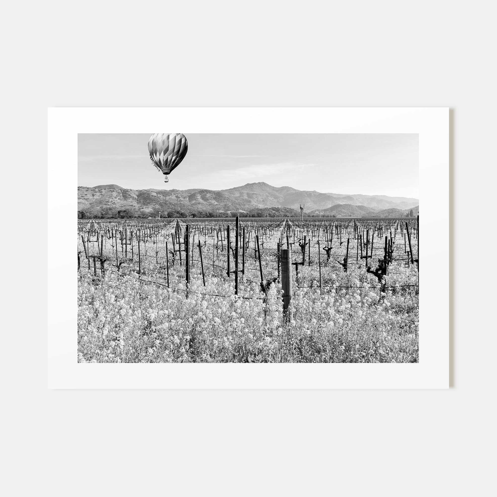 Napa Valley Landscape B&W Poster