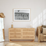Napa Valley Landscape B&W Poster