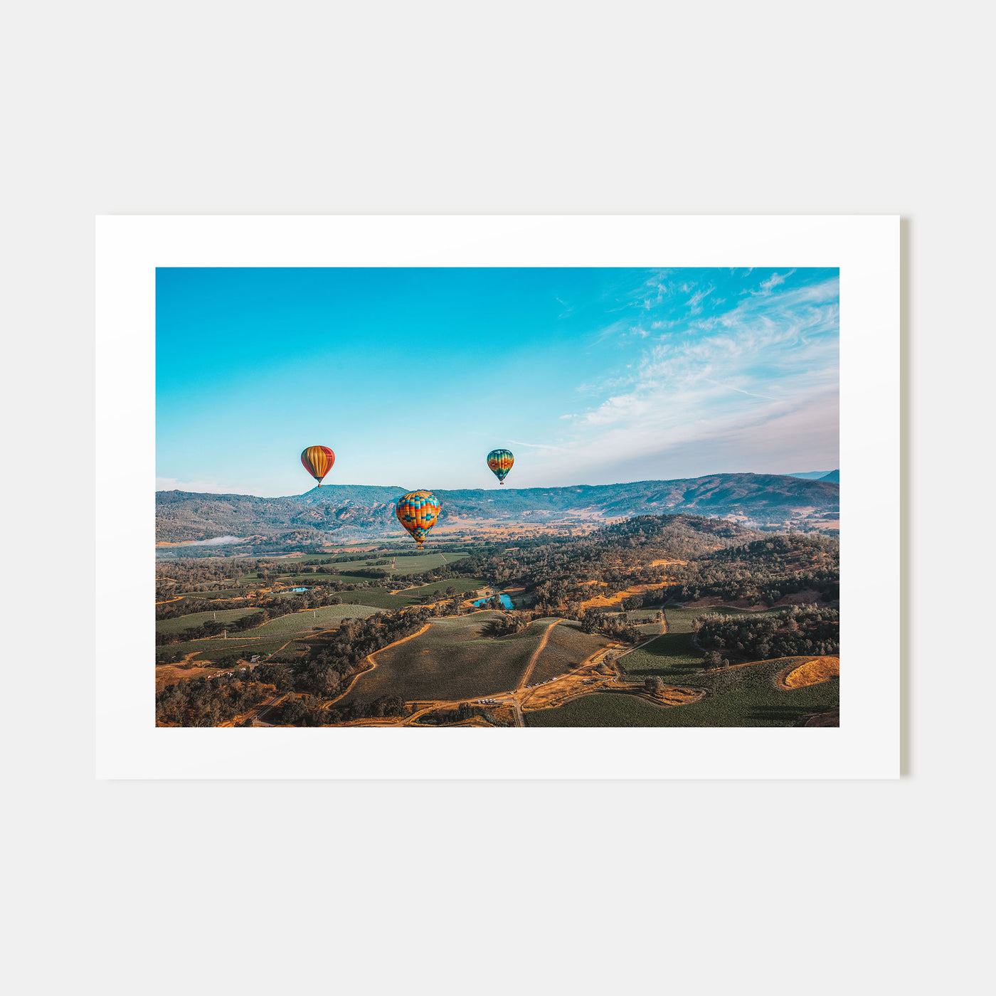 Napa Valley Landscape Color Poster