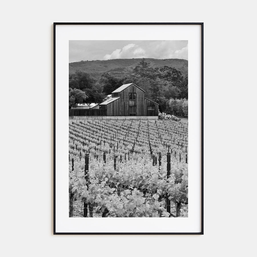 Napa Valley Photo B&W Poster