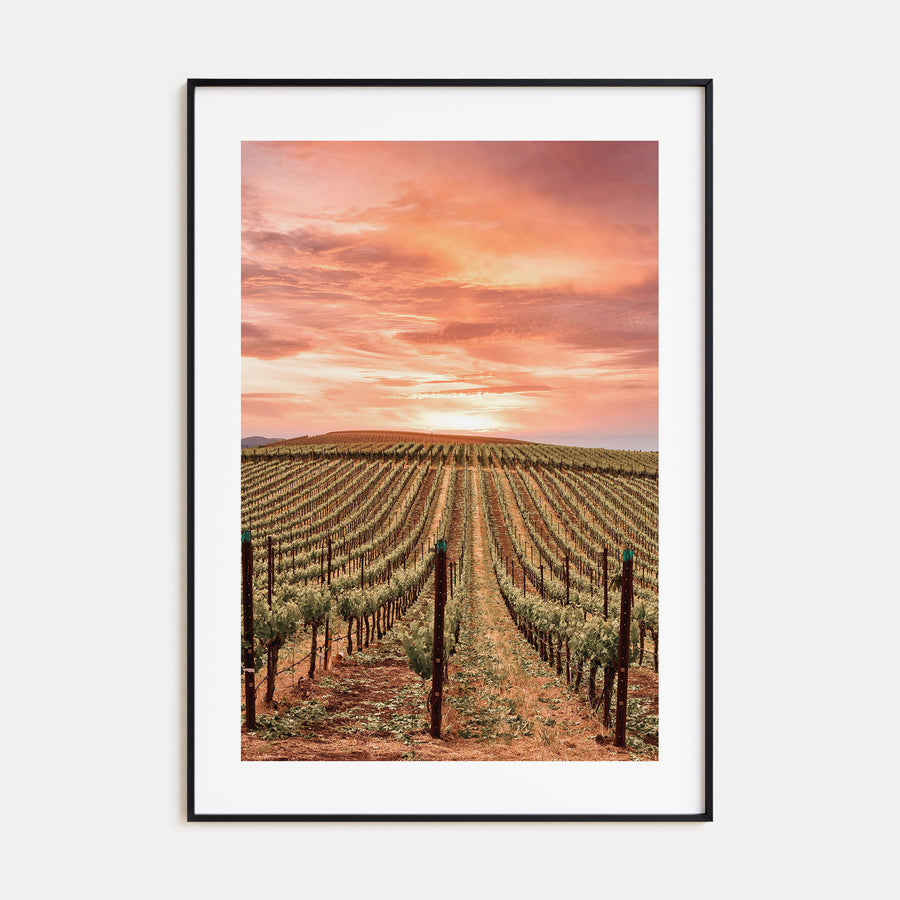 Napa Valley Photo Color No 1 Poster