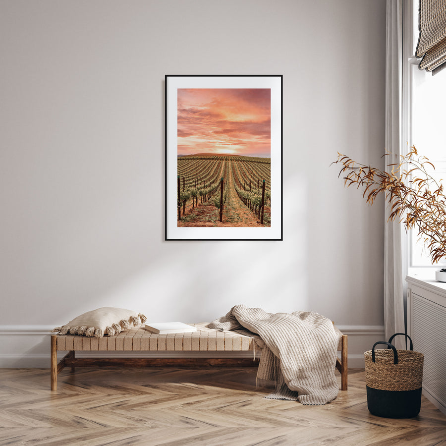 Napa Valley Photo Color No 1 Poster