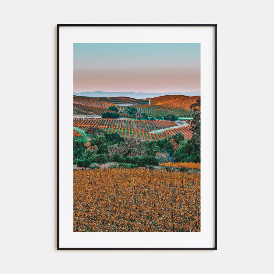 Napa Valley Photo Color No 2 Poster