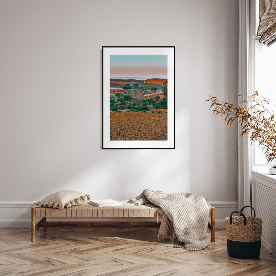 Napa Valley Photo Color No 2 Poster