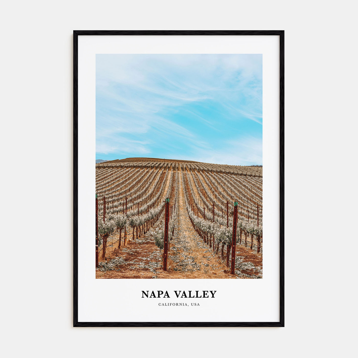 Napa Valley Portrait Color Poster