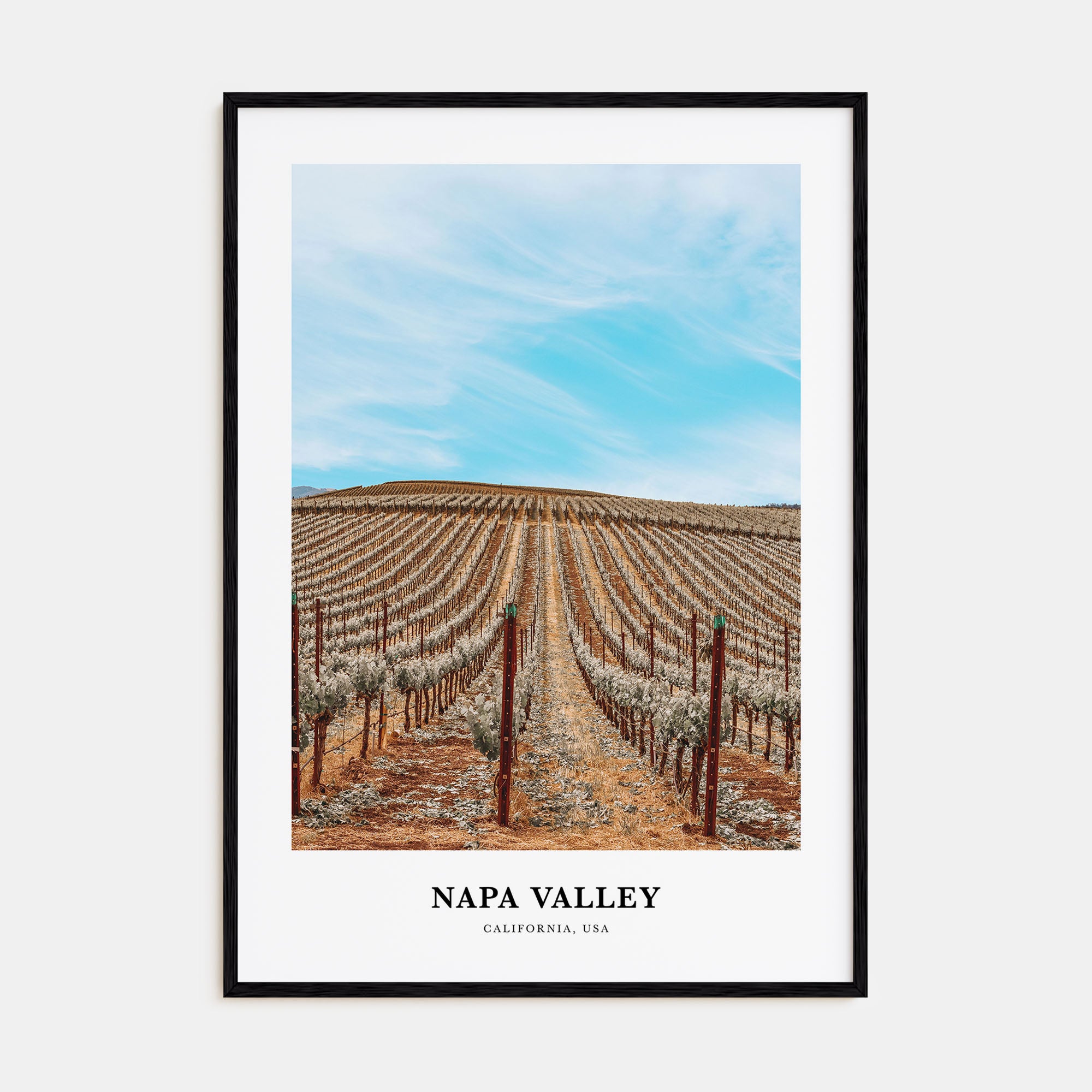 Napa Valley Portrait Color Poster