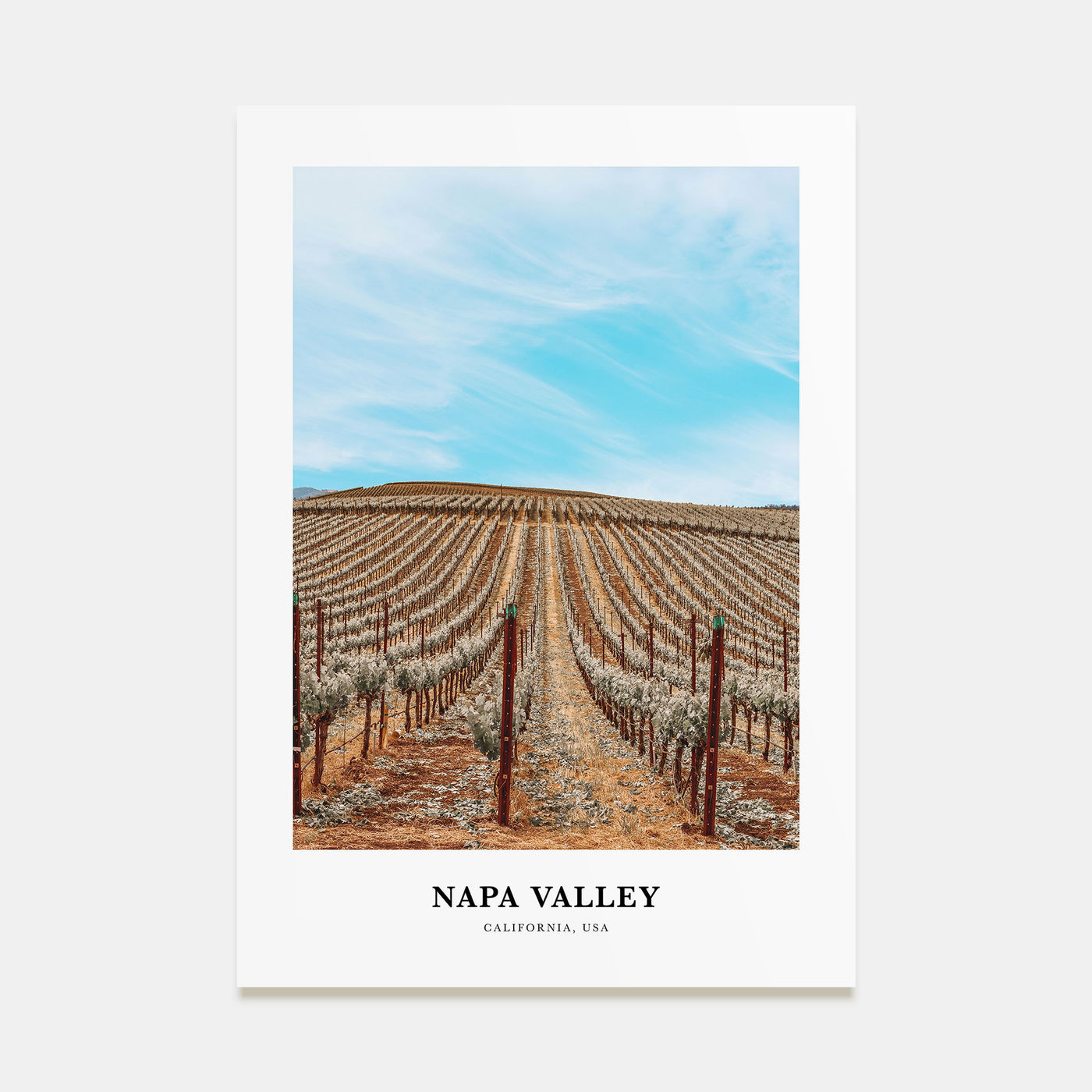 Napa Valley Portrait Color Poster