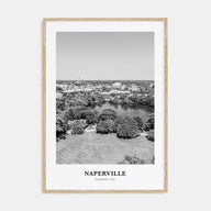 Naperville Portrait B&W Poster