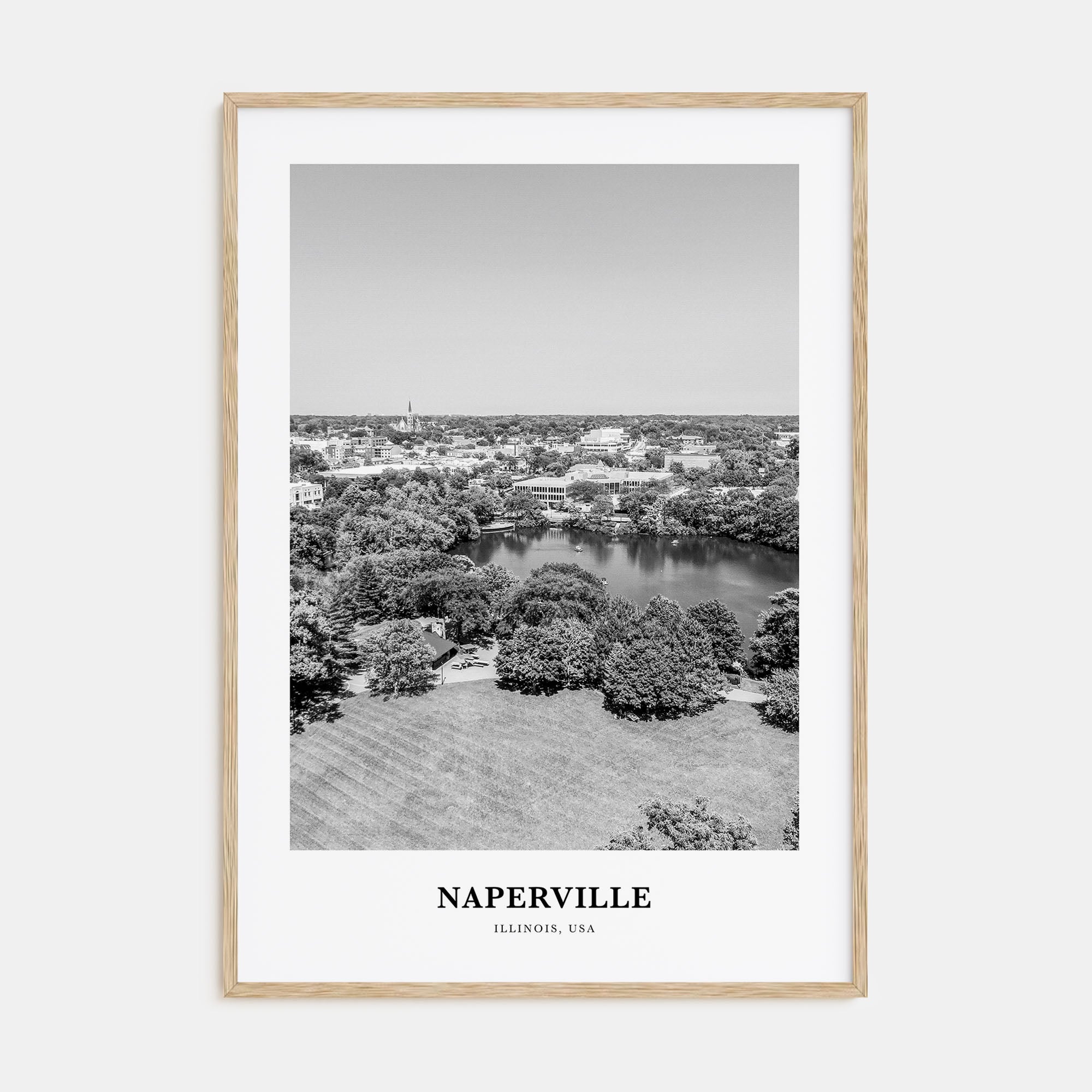 Naperville Portrait B&W Poster