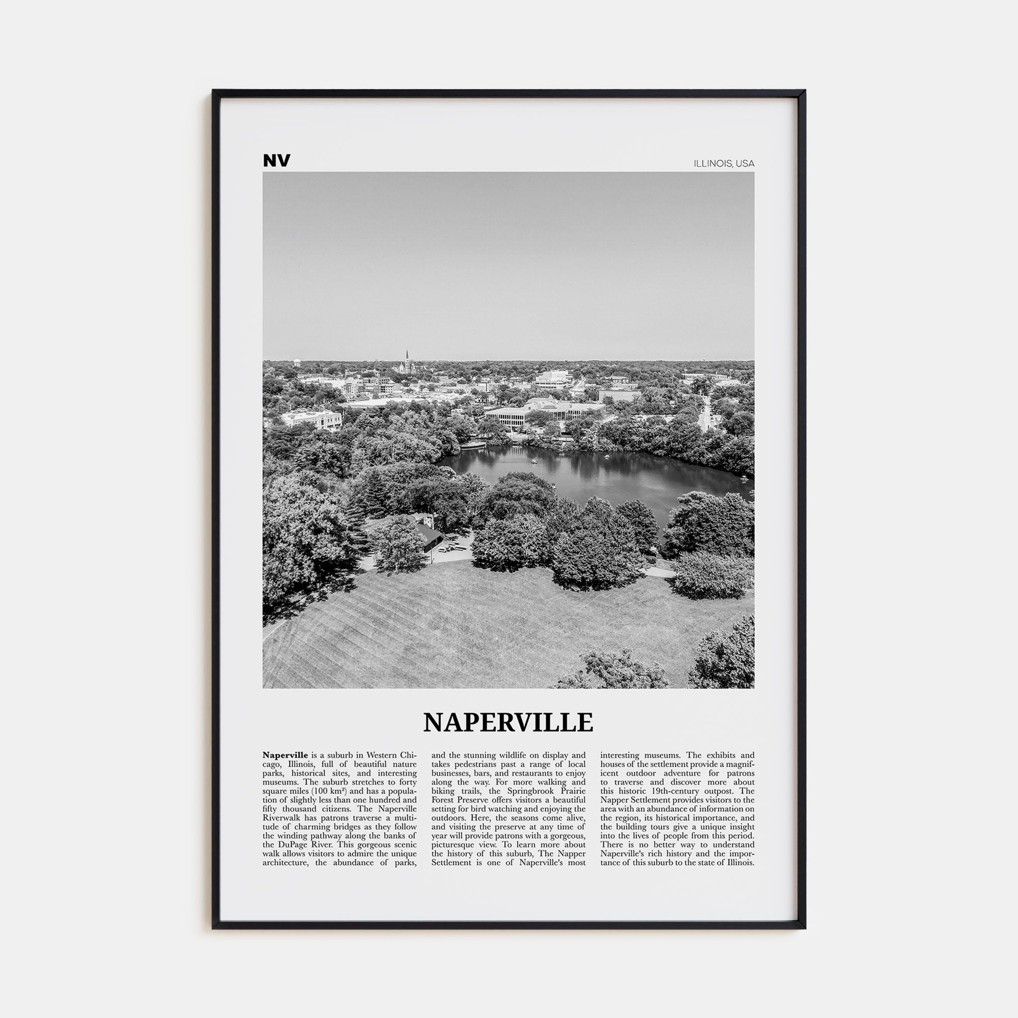 Naperville Travel B&W Poster
