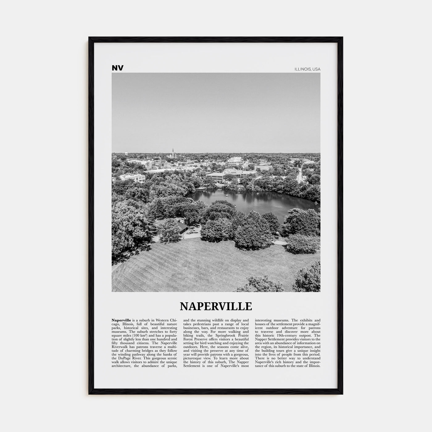 Naperville Travel B&W Poster