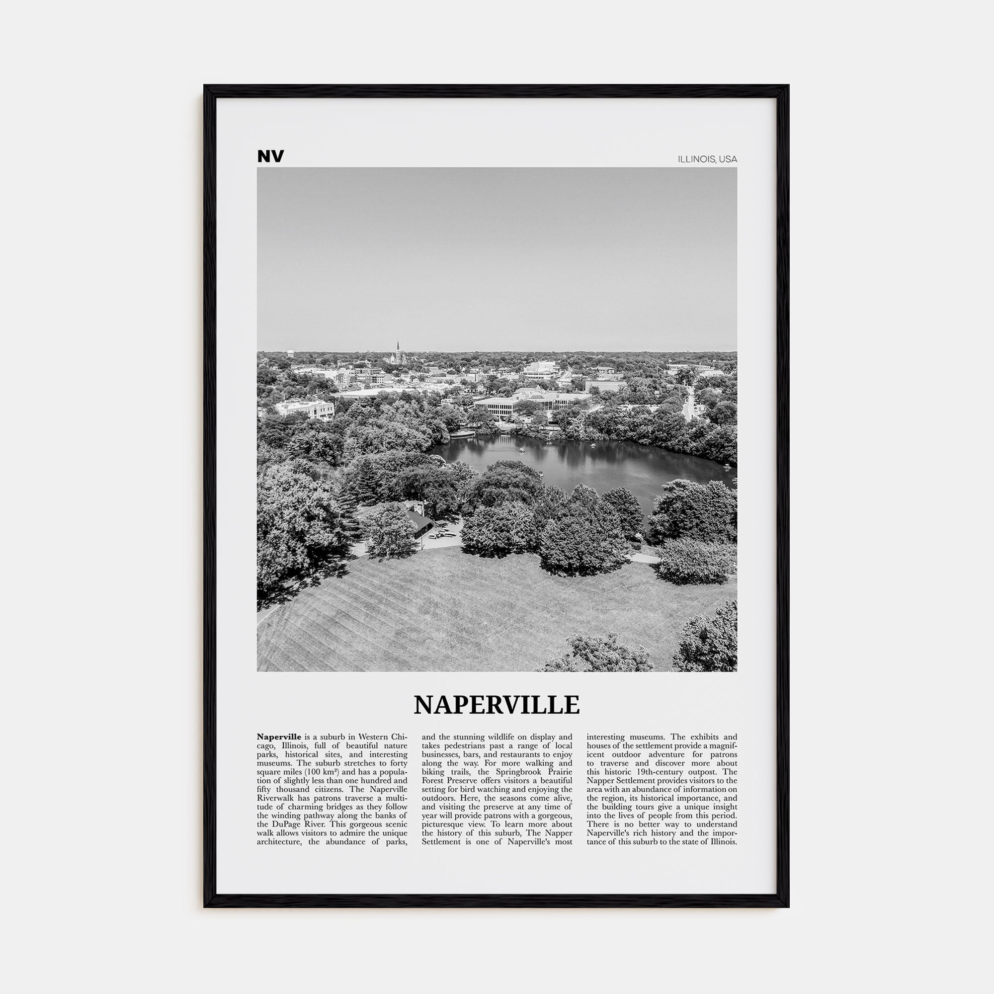 Naperville Travel B&W Poster
