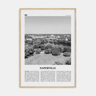 Naperville Travel B&W Poster