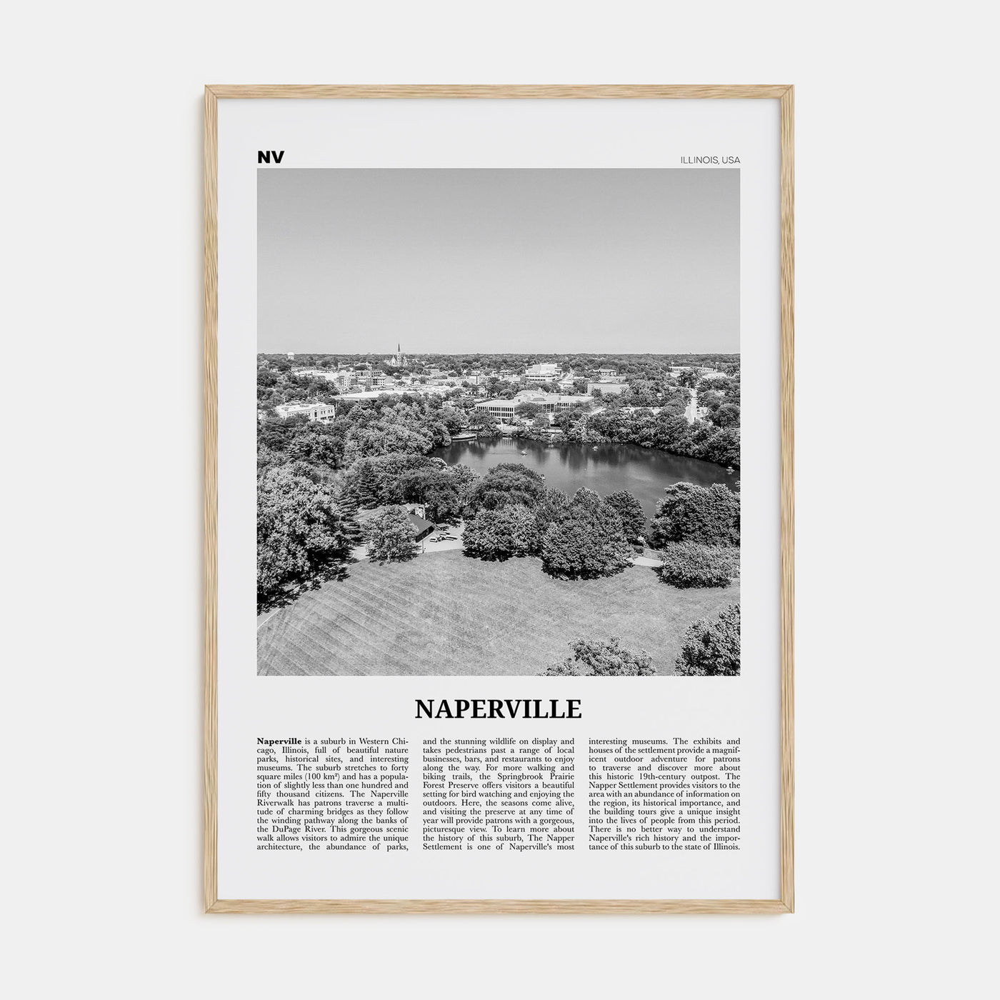 Naperville Travel B&W Poster