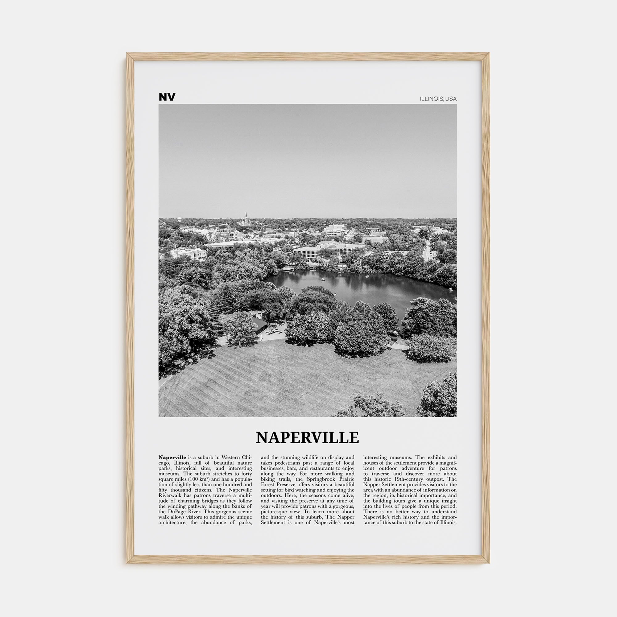 Naperville Travel B&W Poster