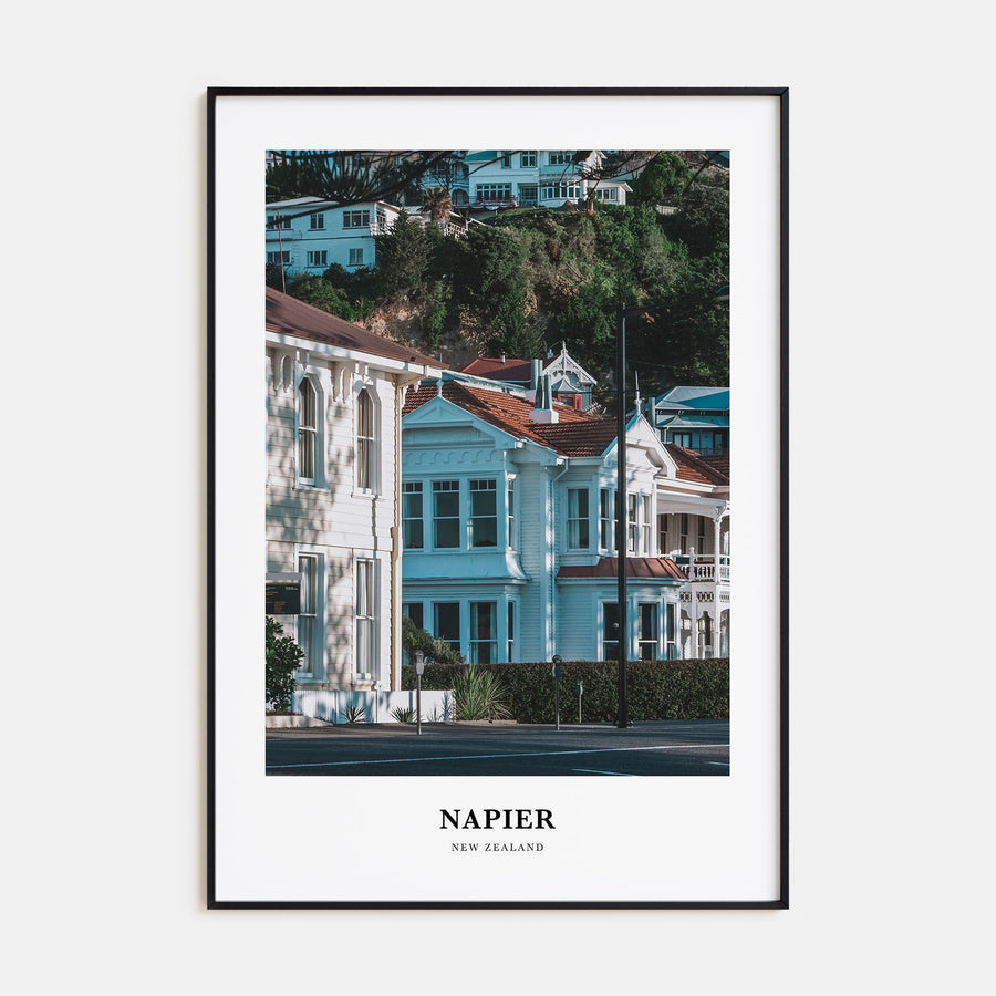 Napier Portrait Color Poster