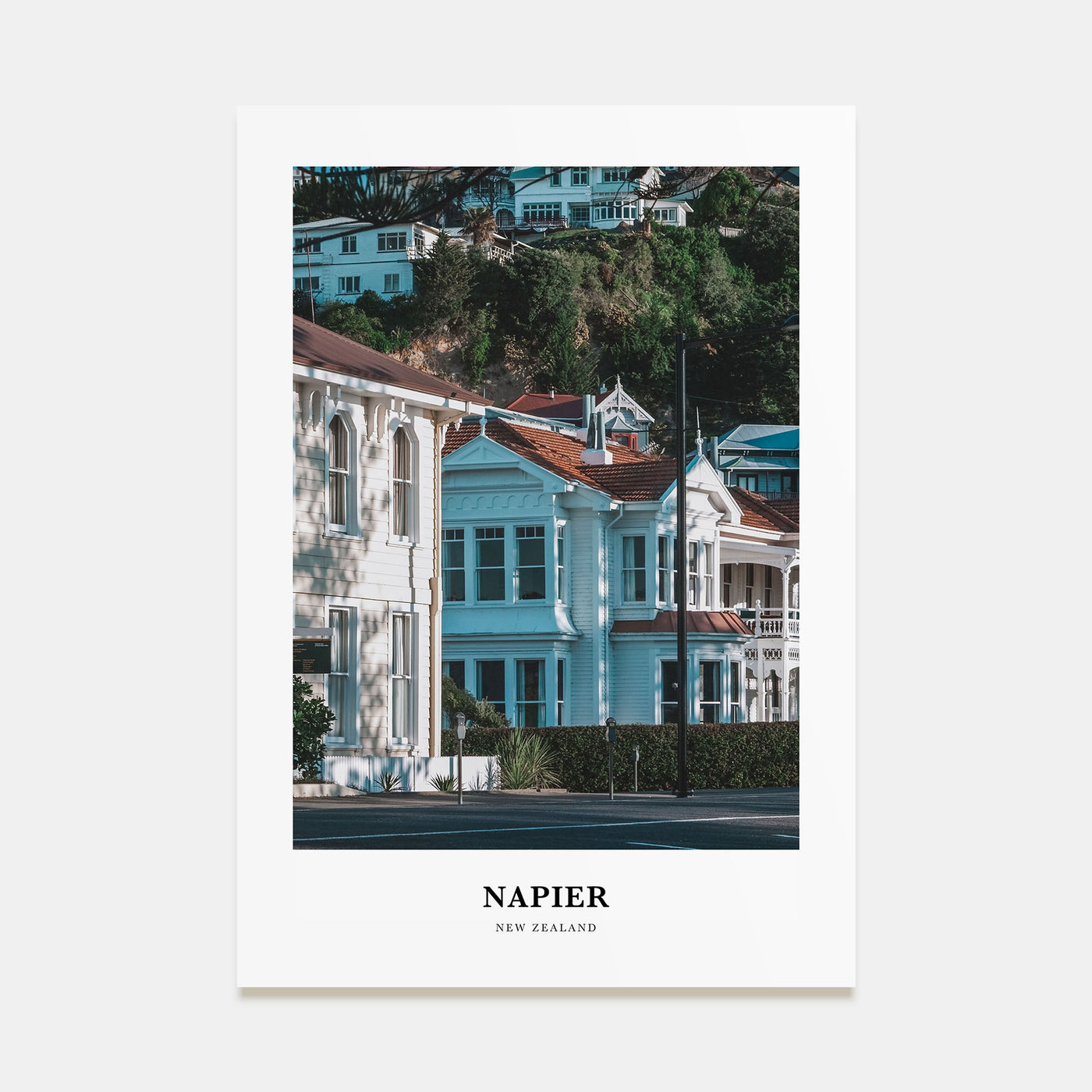 Napier Portrait Color Poster