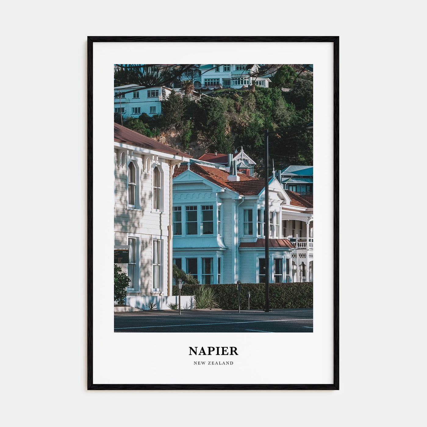 Napier Portrait Color Poster