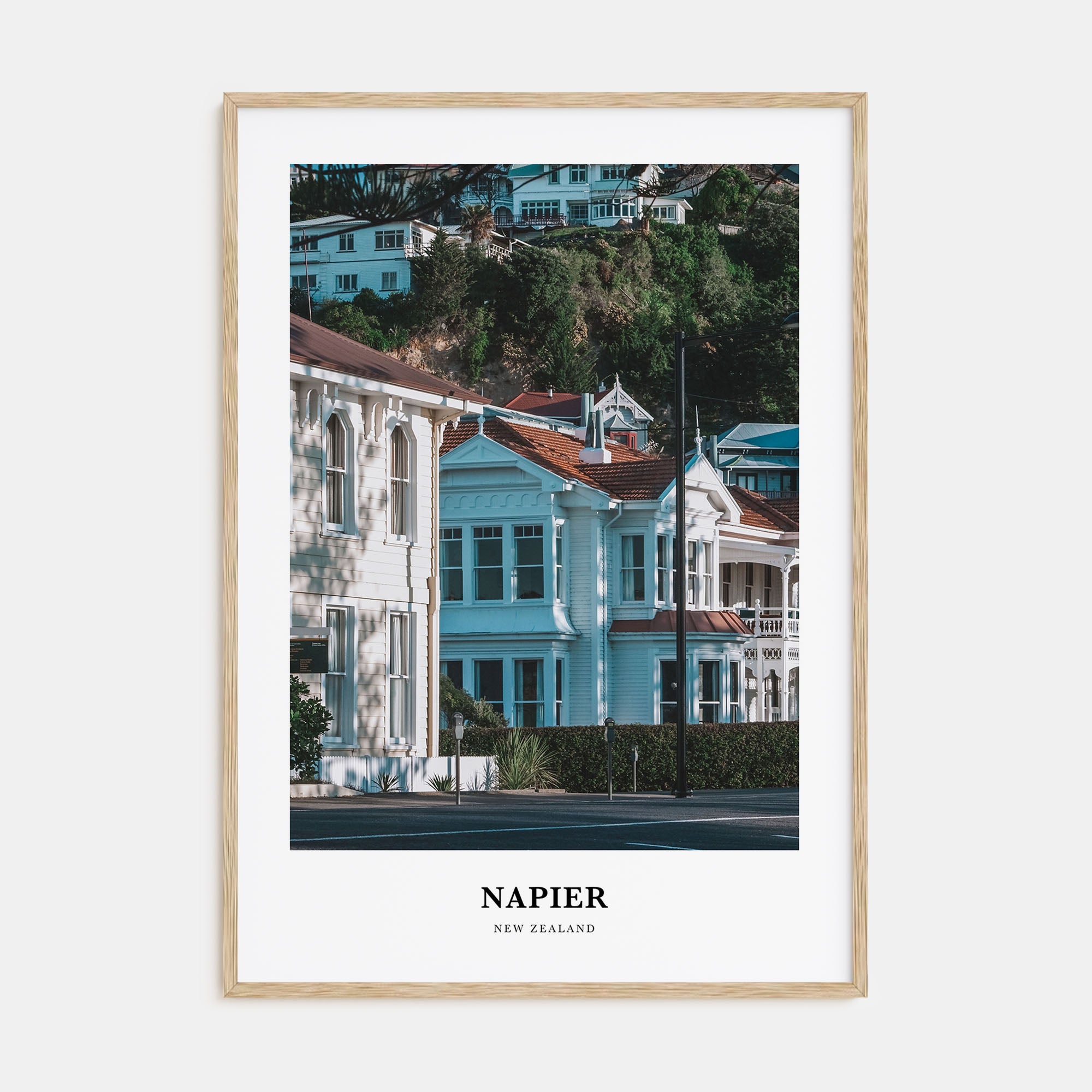 Napier Portrait Color Poster