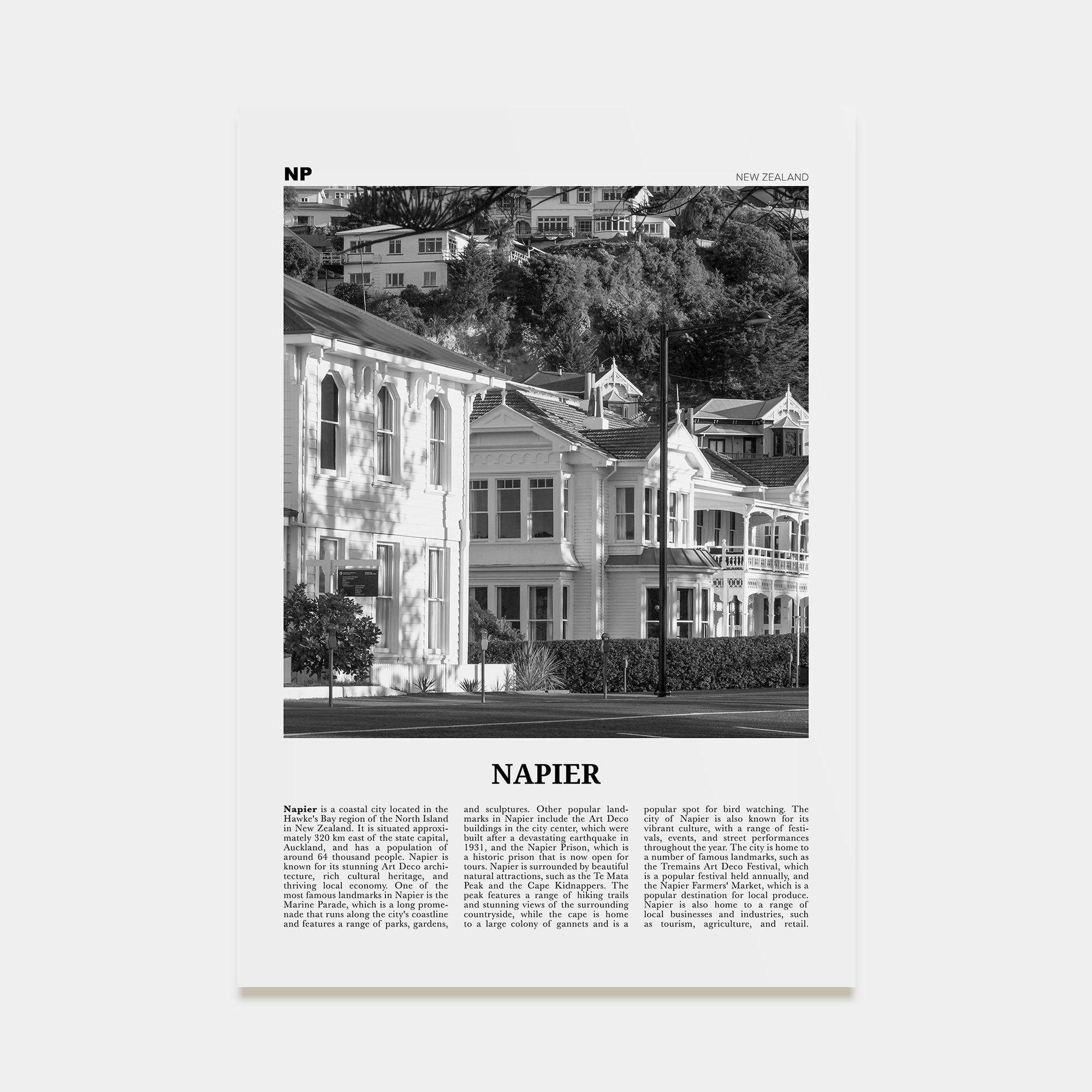 Napier Travel B&W Poster