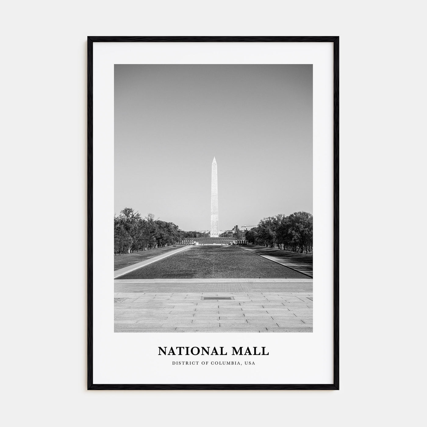 National Mall Portrait B&W Poster