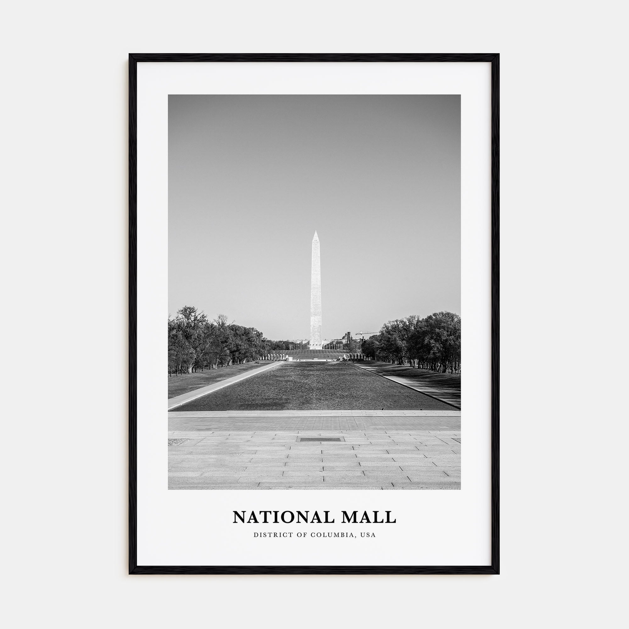 National Mall Portrait B&W Poster