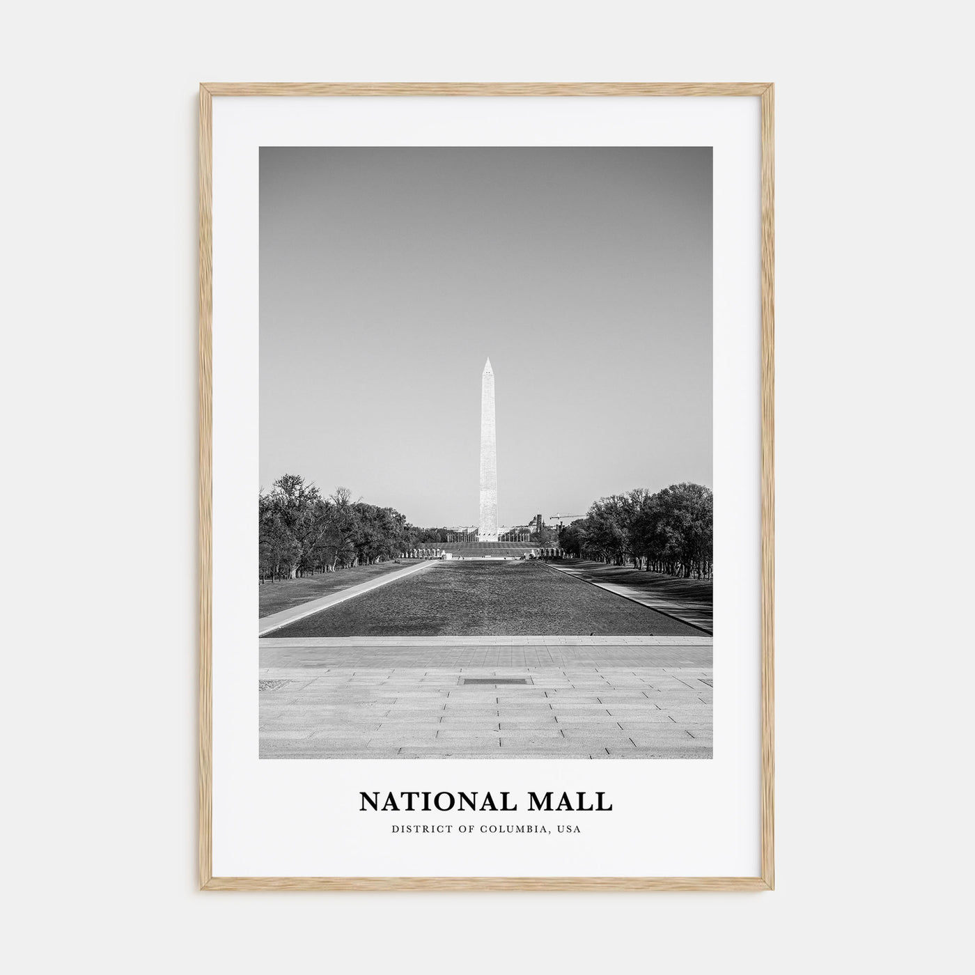 National Mall Portrait B&W Poster
