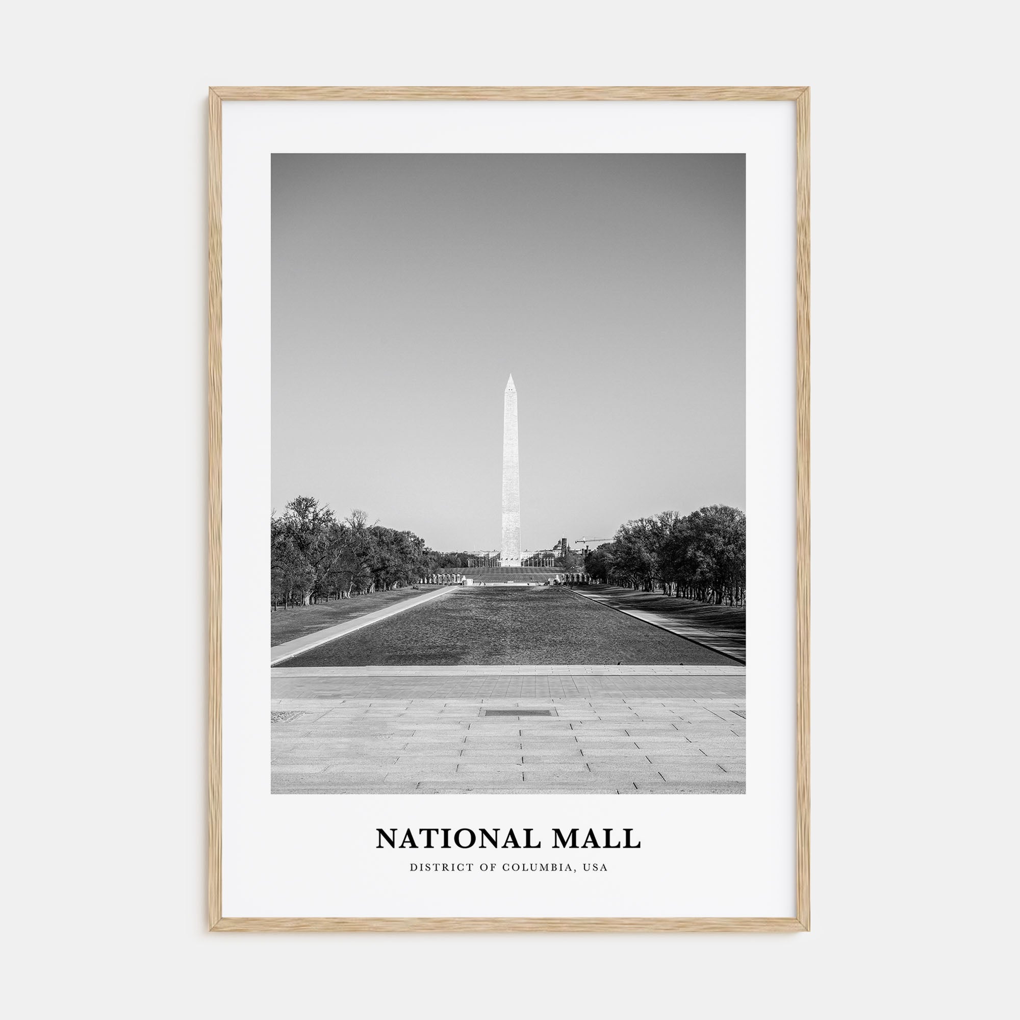 National Mall Portrait B&W Poster