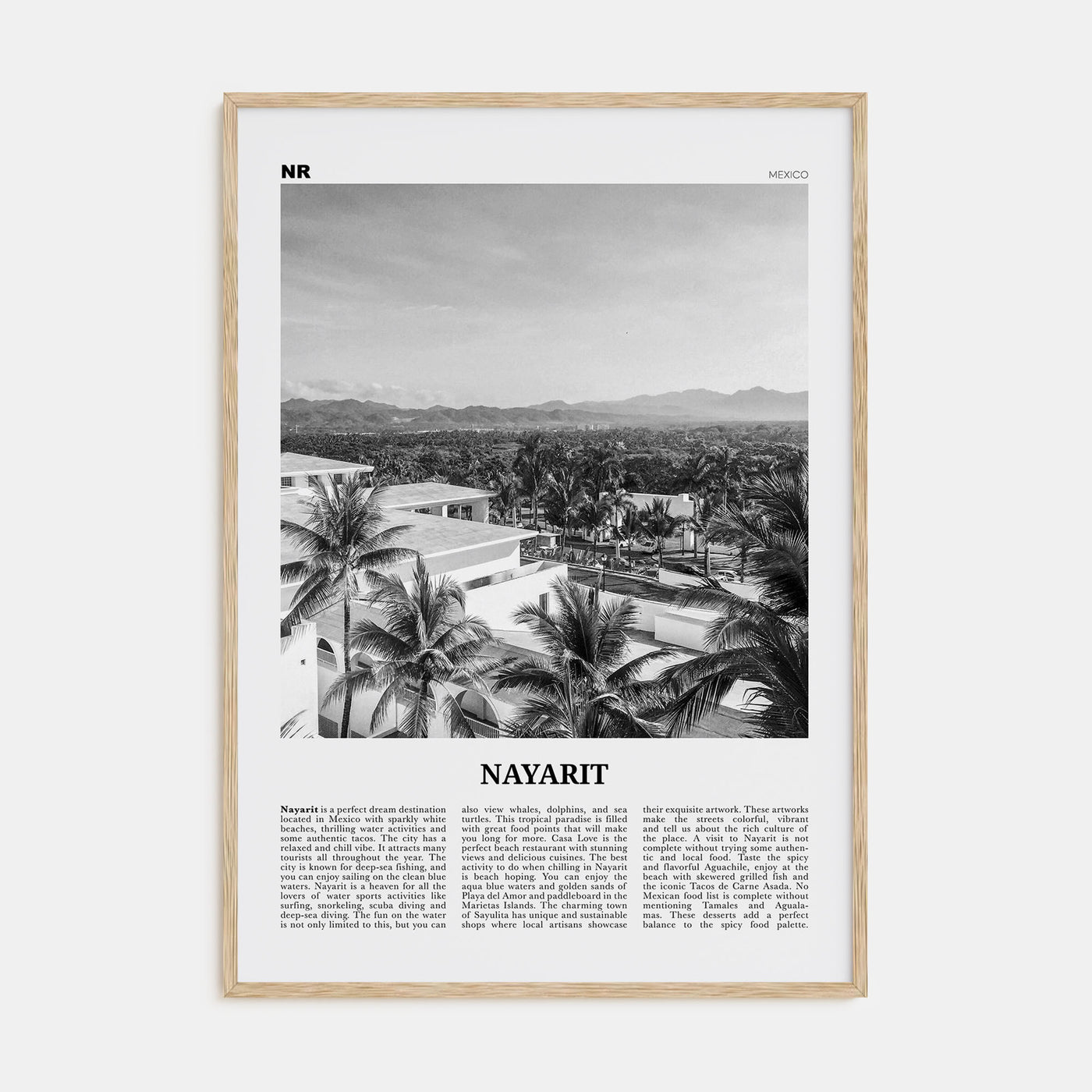 Nayarit Travel B&W Poster