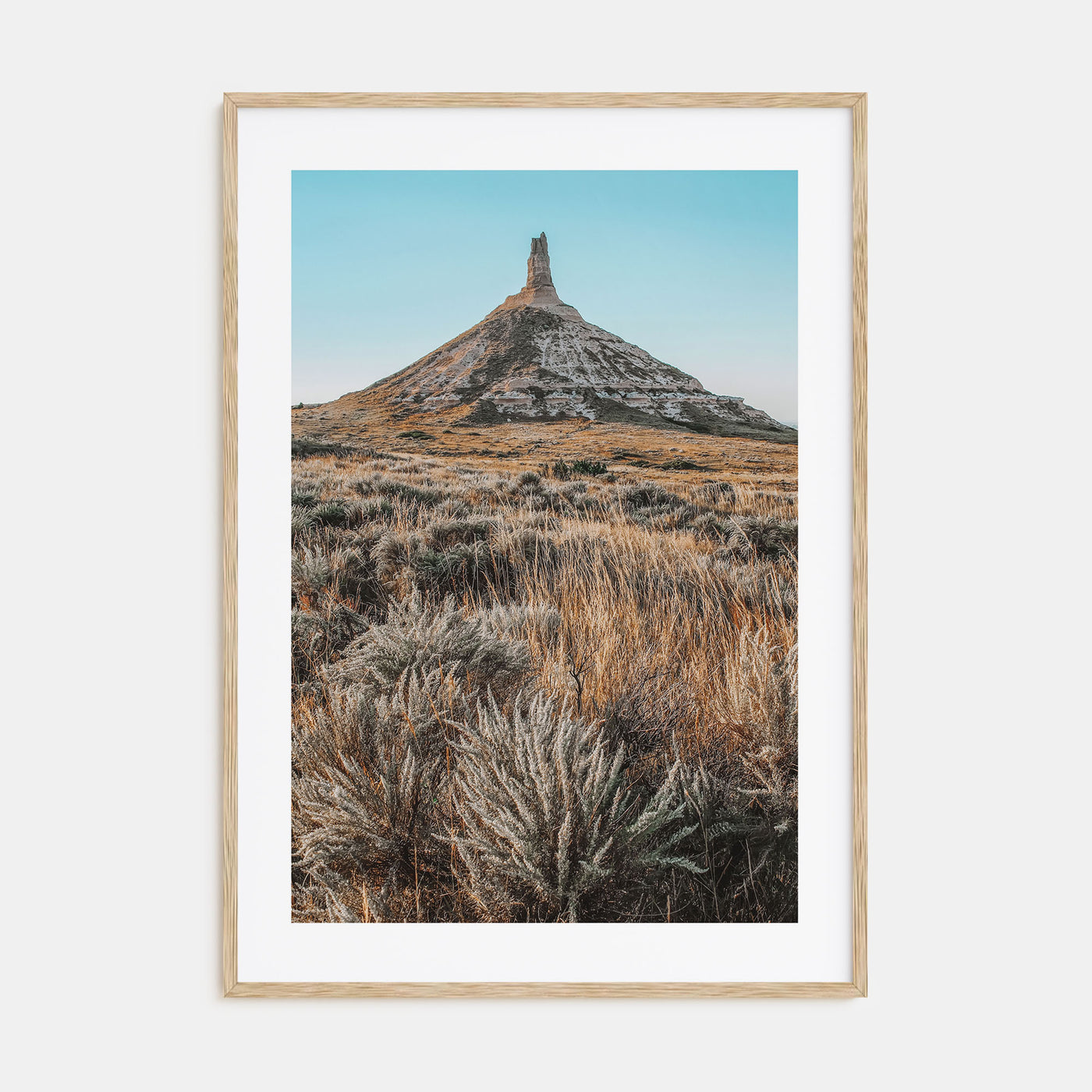 Nebraska Photo Color Poster