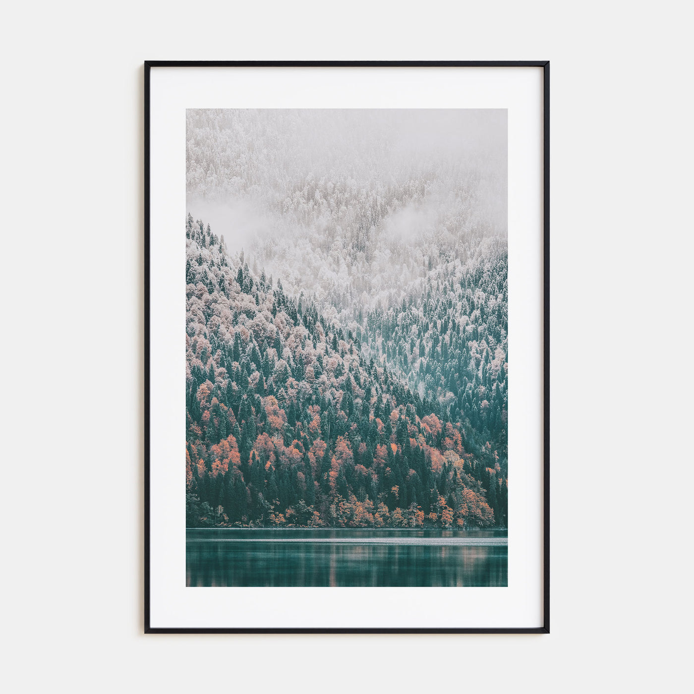 Needle Forest and Foggy Lake Photo Color Poster