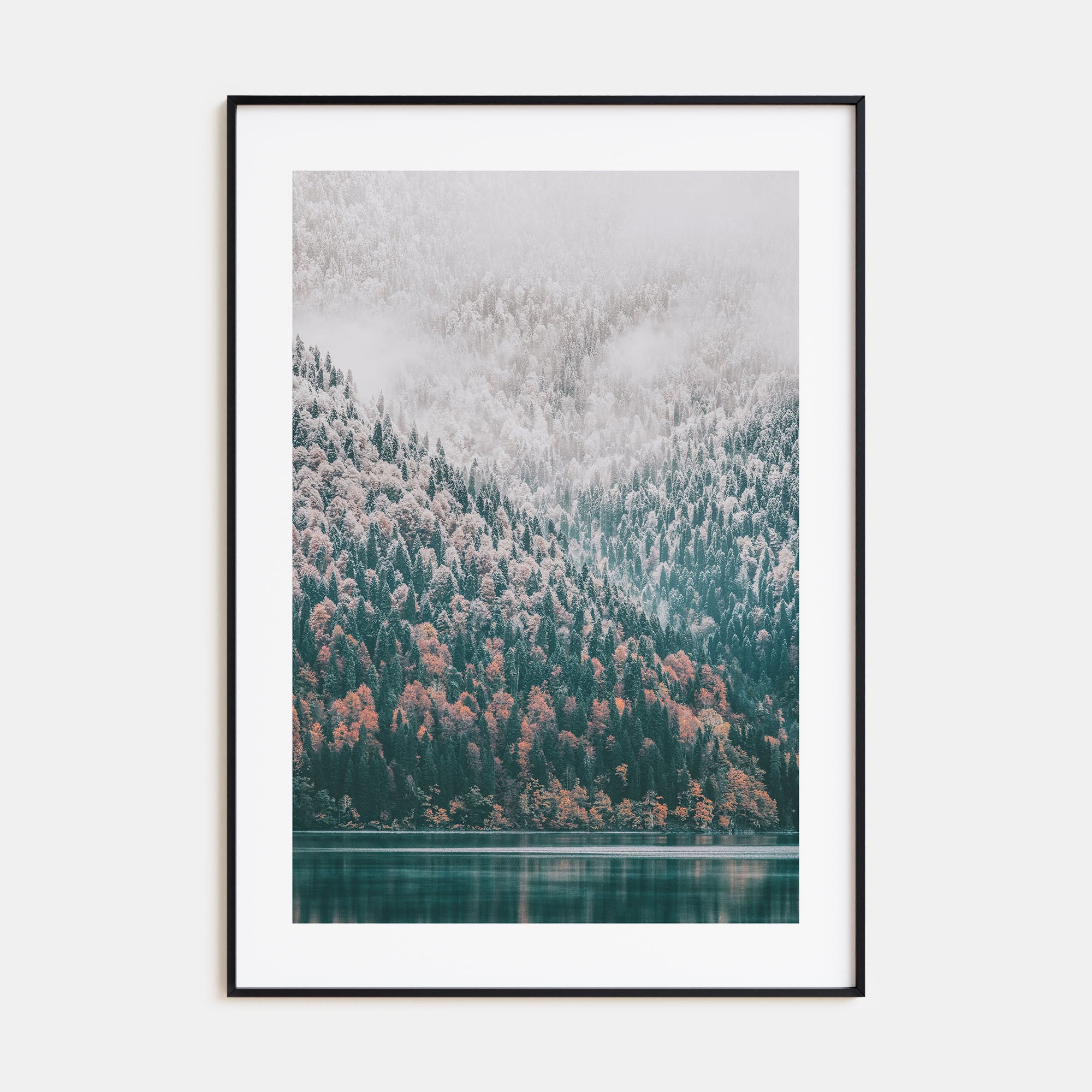 Needle Forest and Foggy Lake Photo Color Poster