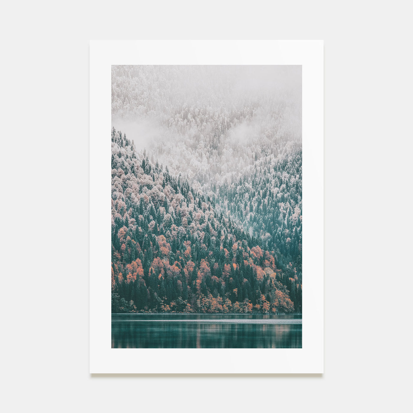 Needle Forest and Foggy Lake Photo Color Poster