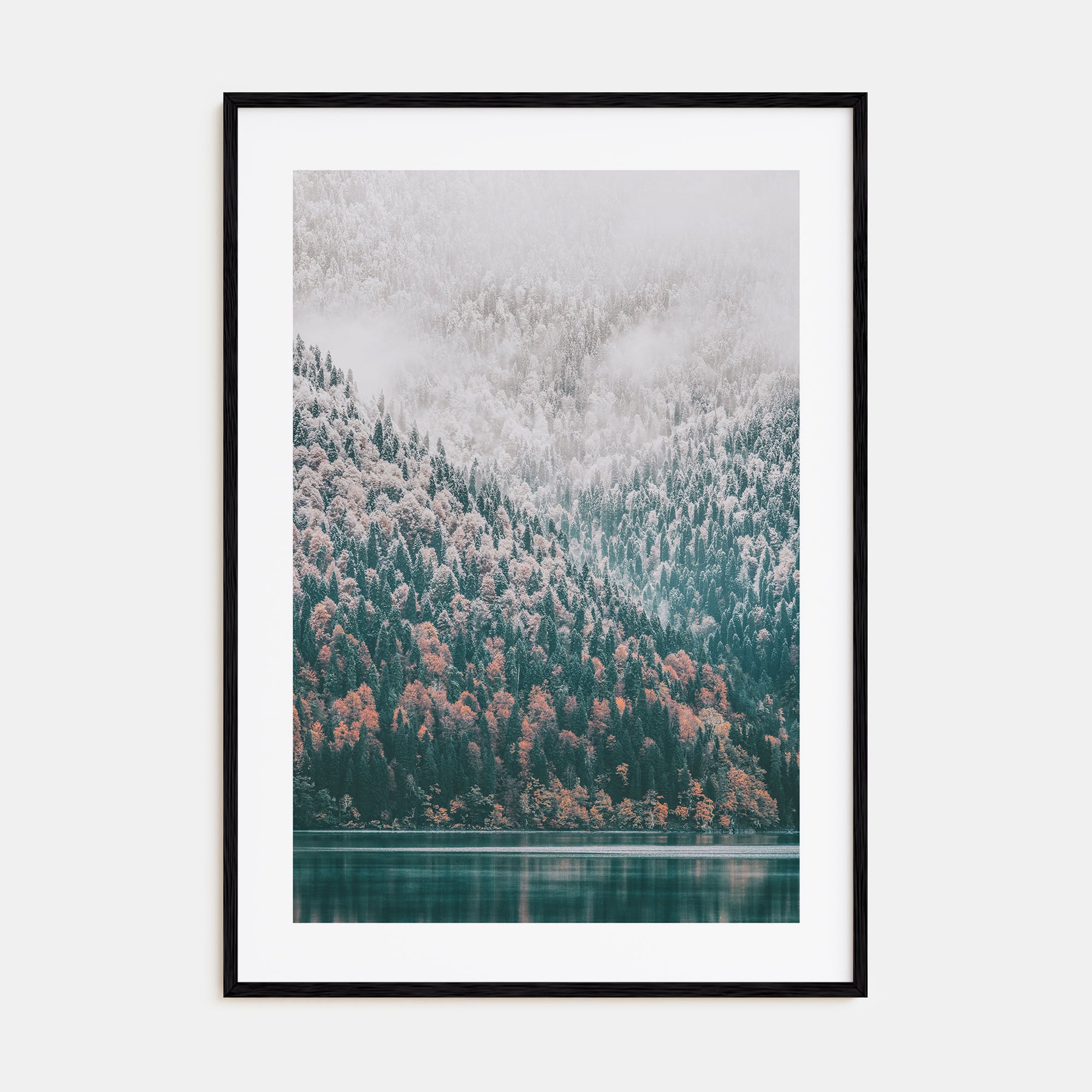 Needle Forest and Foggy Lake Photo Color Poster