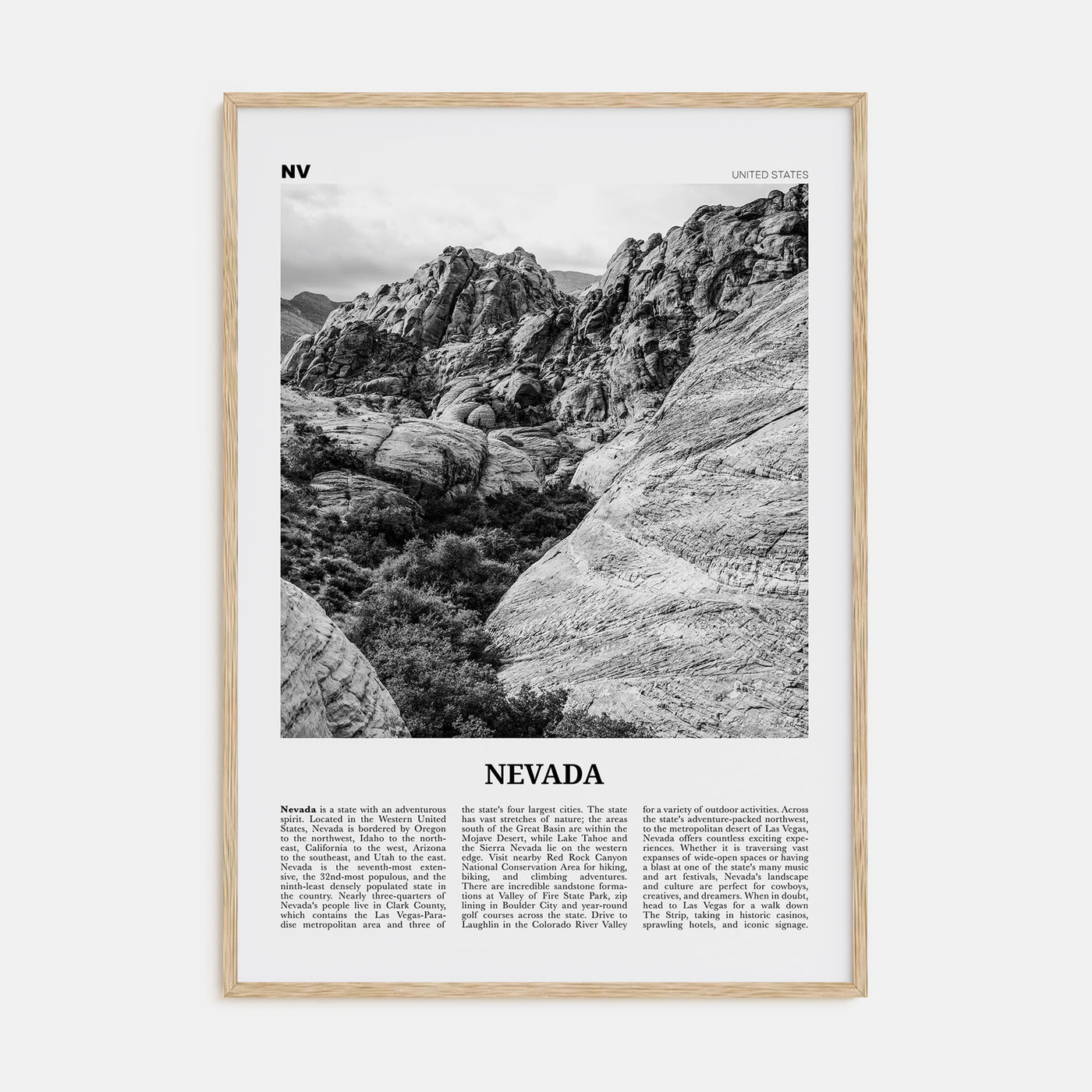 Nevada Travel B&W No 2 Poster