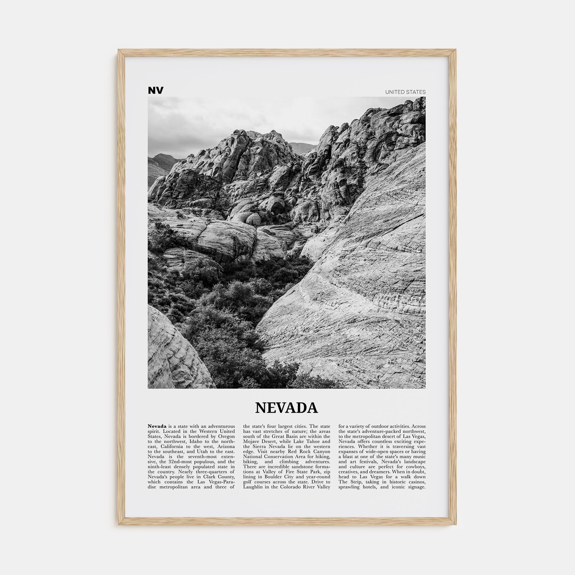 Nevada Travel B&W No 2 Poster