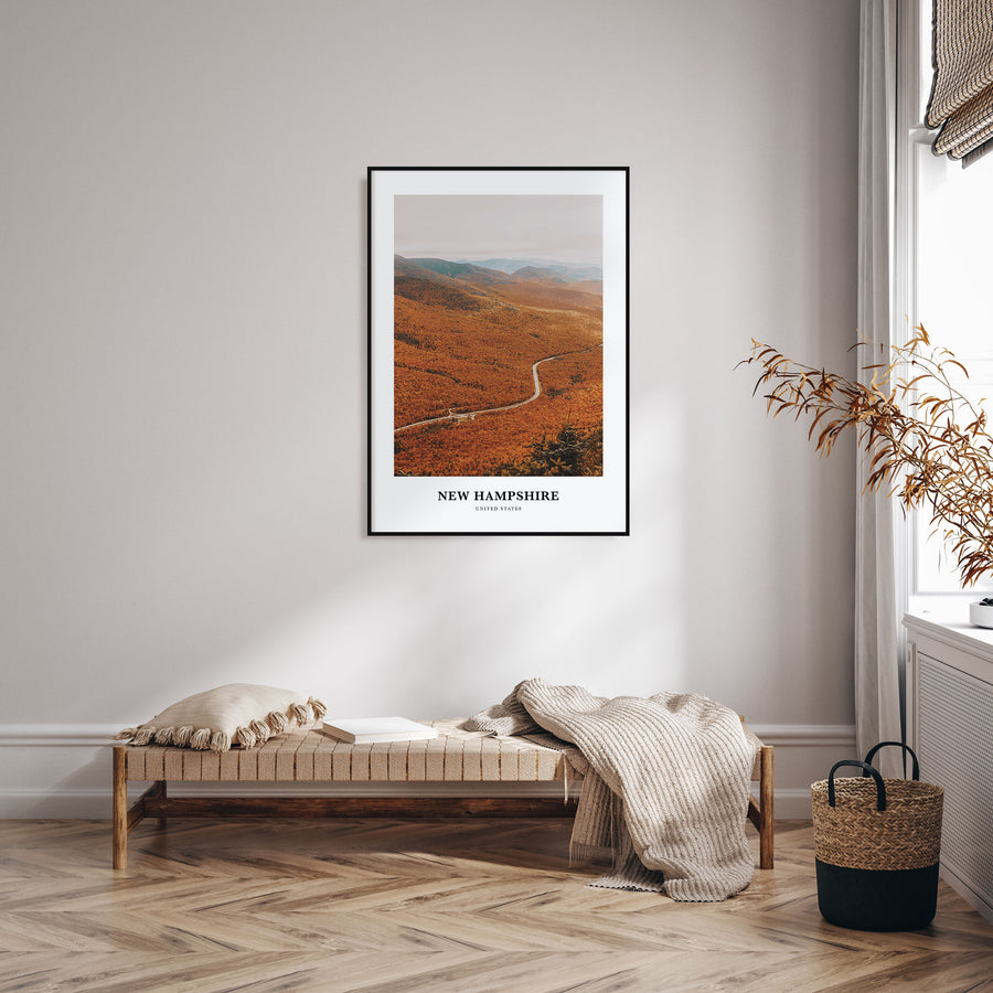 New Hampshire Portrait Color No 3 Poster